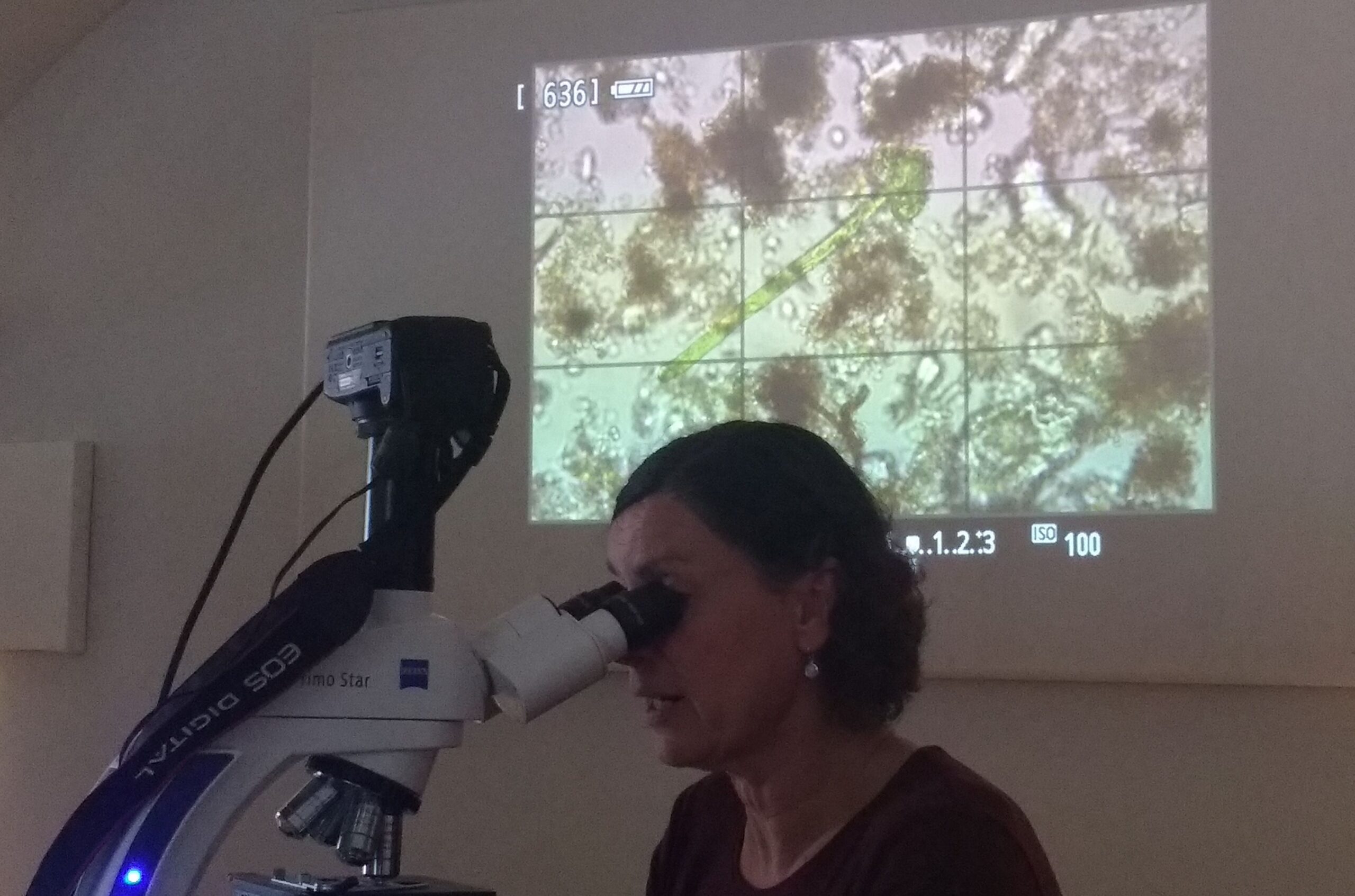 Frau Fritz am Mikroskop