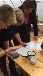 Bodenpädagogik-Tag Dinkelberg