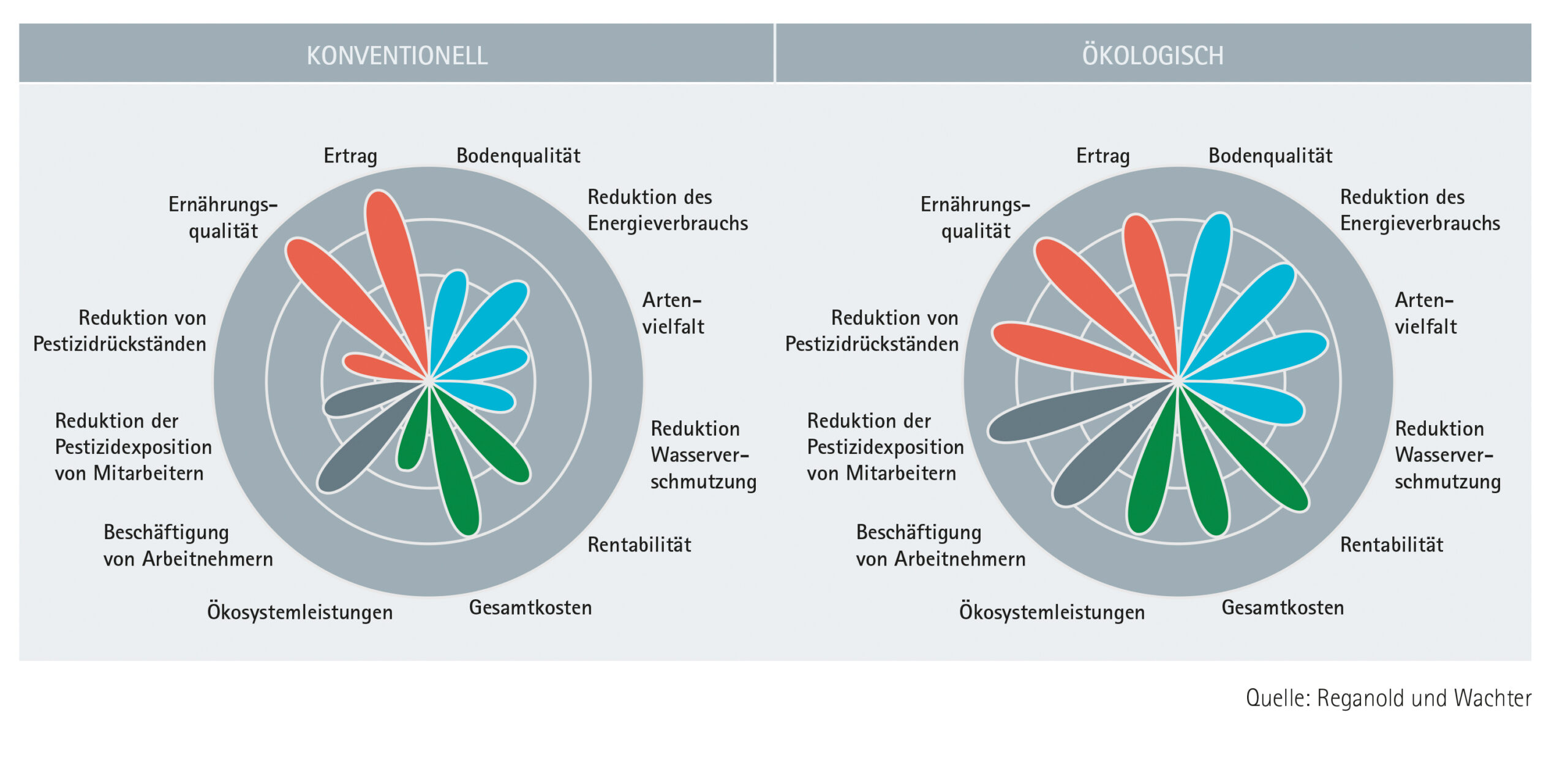 Grafik Reganold Wachter DE