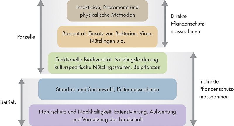 Grafik Pflanzschutzpyramide DE 1200