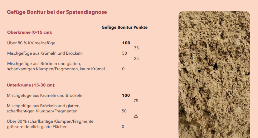 Gefüge Bonitur Beispiel