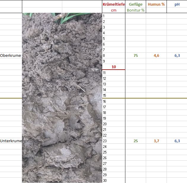 Spatendiagnose Befund KT 10 cm